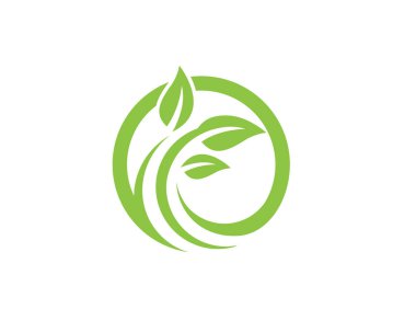 Yaprak ekoloji doğa Logo şablonu