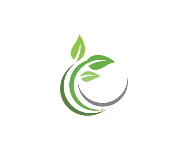 Naturaleza de la ecología de la hoja Logo Template — Archivo Imágenes Vectoriales