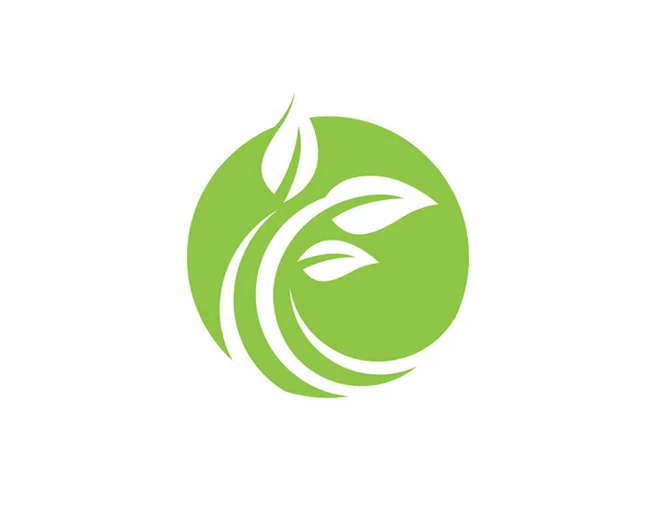 Blad ecologie natuur Logo sjabloon — Stockvector