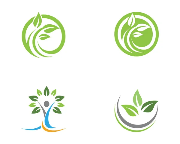 Ekologia liść natura Logo Szablon — Wektor stockowy