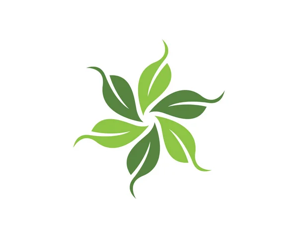 叶子生态学自然标志模板 — 图库矢量图片