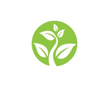 Yaprak ekoloji doğa Logo şablonu