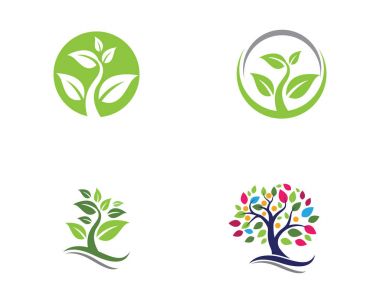 Yaprak ekoloji doğa Logo şablonu