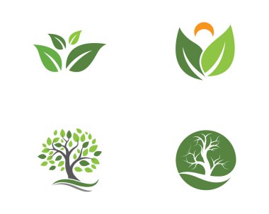Yaprak ekoloji doğa Logo şablonu