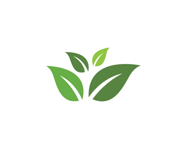 Leaf ekologi natur logotyp mall — Stock vektor