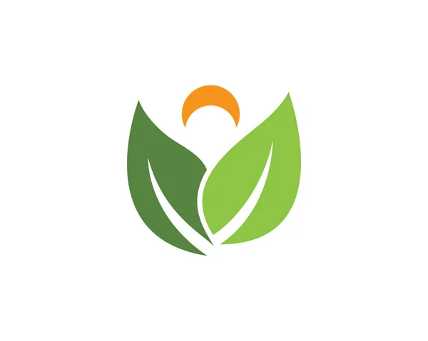 Écologie des feuilles nature Modèle de logo — Image vectorielle