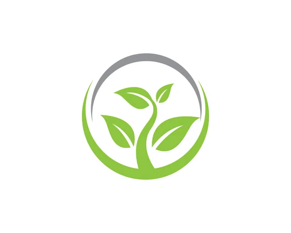 Ekologia liść natura Logo Szablon — Wektor stockowy