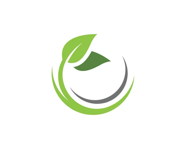 葉生態自然のロゴのテンプレート — ストックベクタ