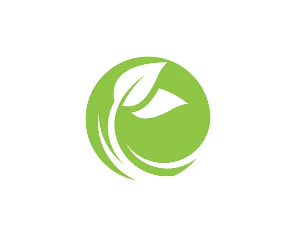 Folha ecologia natureza logotipo modelo —  Vetores de Stock
