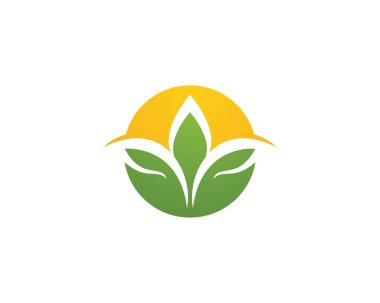 Yaprak ekoloji doğa Logo şablonu