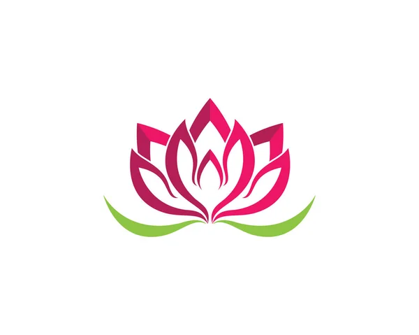 Krása vektorové lotosové květy — Stockový vektor