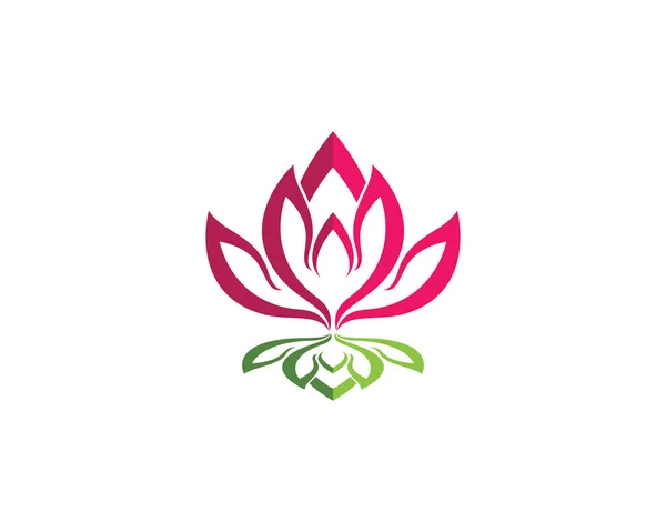 Krása vektorové lotosové květy — Stockový vektor