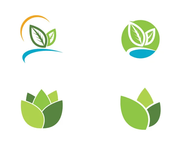 Templat Logo alam ekologi daun - Stok Vektor