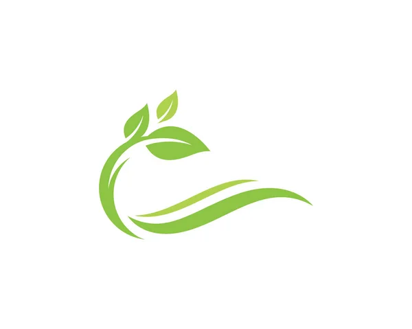 Écologie des feuilles nature Modèle de logo — Image vectorielle
