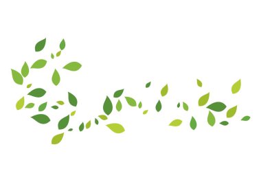 yeşil yaprak ekoloji doğa 