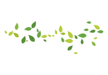 yeşil yaprak ekoloji doğa 