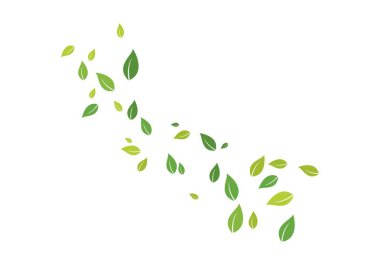 yeşil yaprak ekoloji doğa 