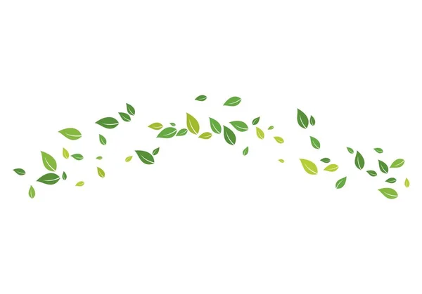 緑の葉の生態自然 — ストックベクタ