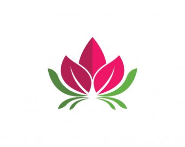 Güzellik vektör lotus çiçek tasarım