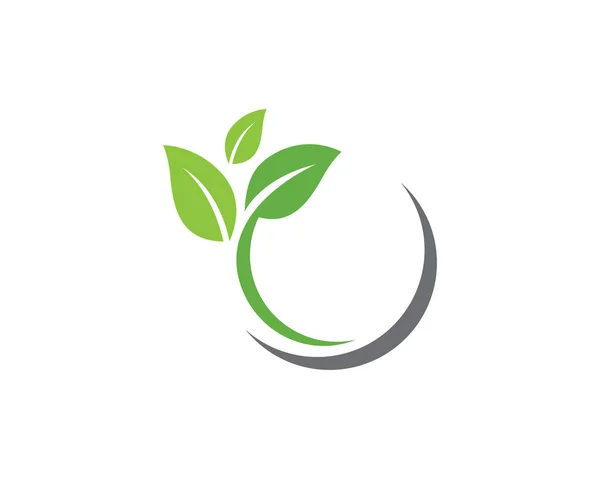 Folha ecologia natureza logotipo modelo — Vetor de Stock