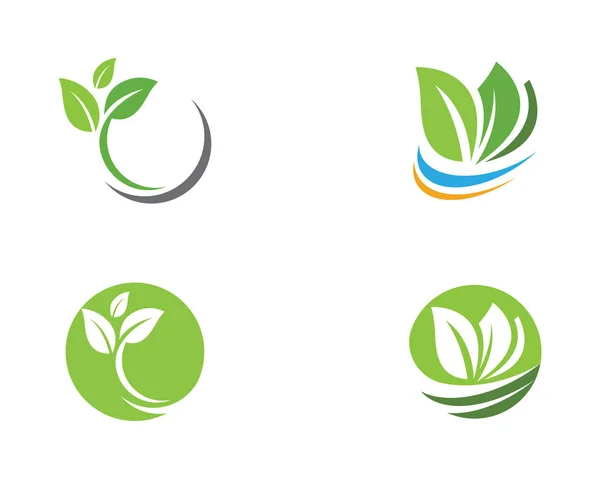 Foglia ecologia natura Logo Template — Vettoriale Stock