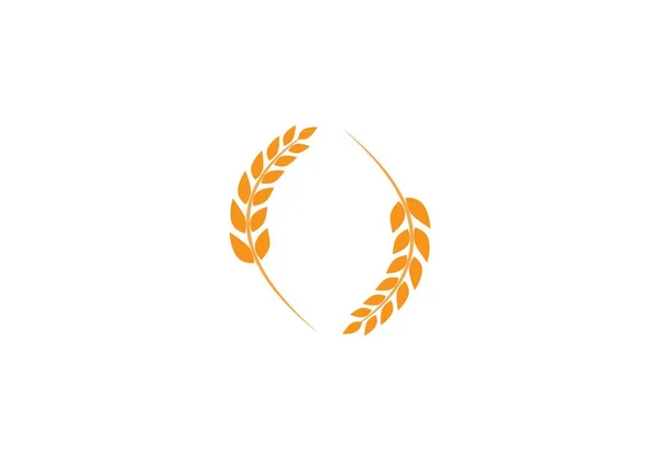Modelo de logotipo de trigo — Vetor de Stock
