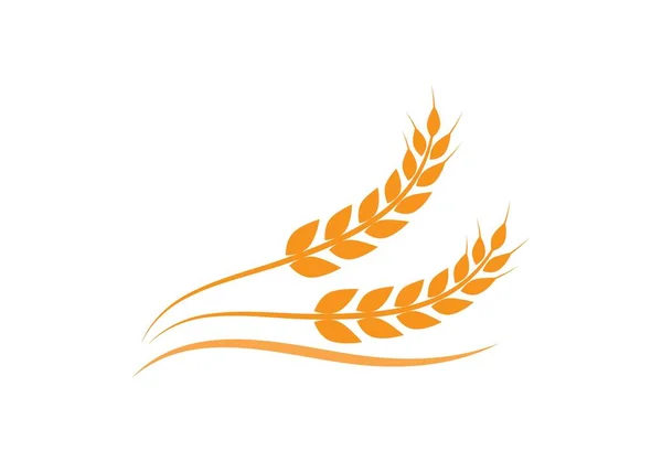 Vorlage für das Weizen-Logo — Stockvektor