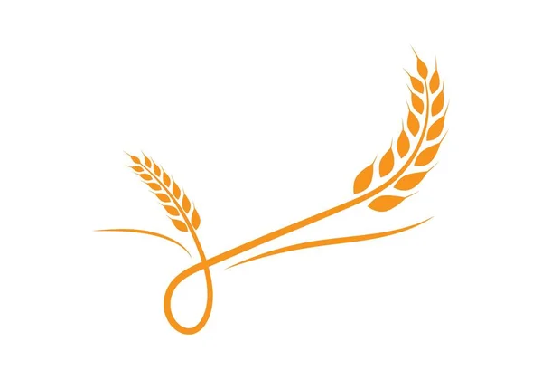 Пшениця шаблон логотип — стоковий вектор