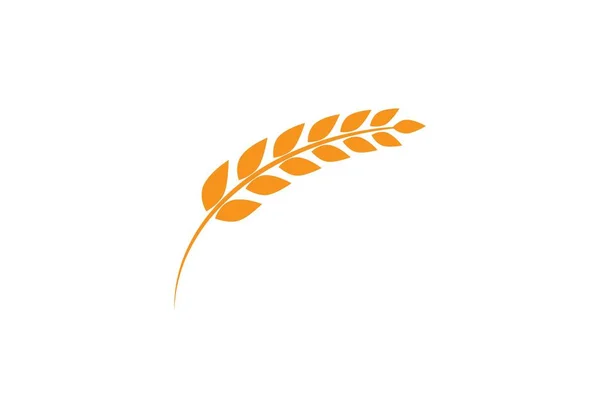 Wheat Logo Template — Stock Vector