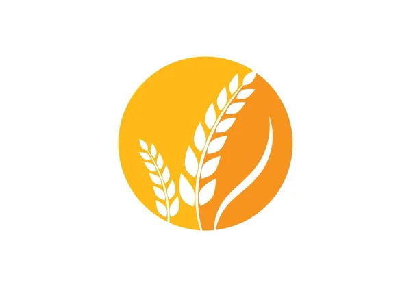 Wheat Logo Template — Stock Vector
