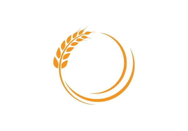 Buğday logo şablonu — Stok Vektör