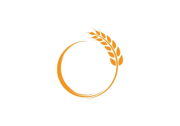 Πρότυπο λογότυπο σιτάρι — Διανυσματικό Αρχείο