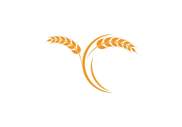 Шаблон логотипа пшеницы — стоковый вектор
