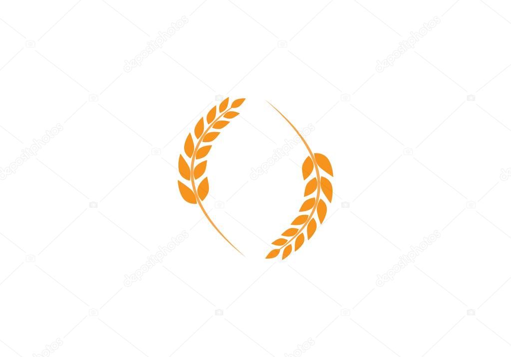 Agriculture wheat Logo Template vector icon design
