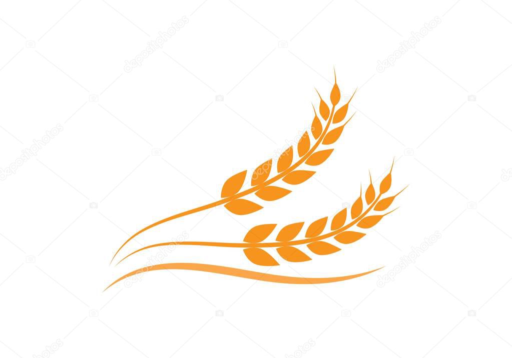 Agriculture wheat Logo Template vector icon design