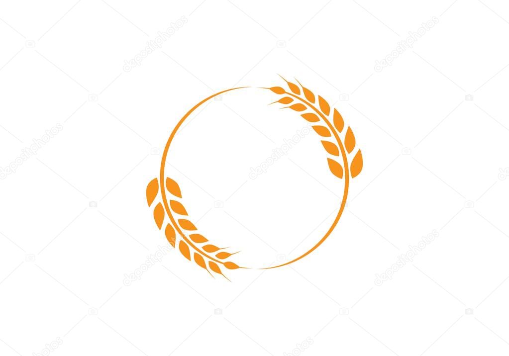 Agriculture wheat Logo Template vector icon design