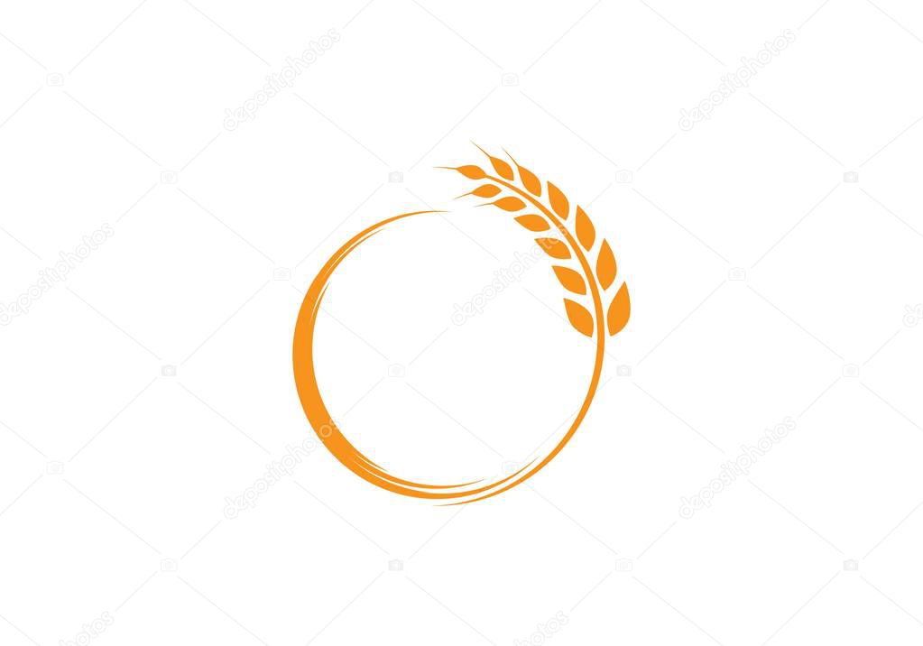 Agriculture wheat Logo Template vector icon design
