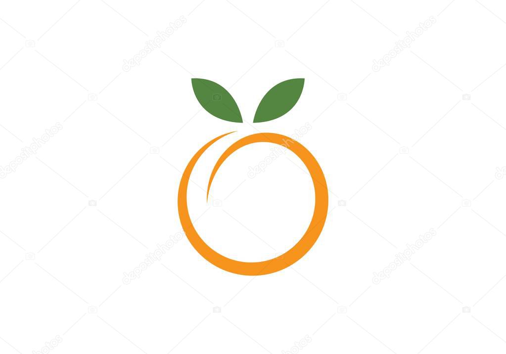 Orange logo design Vector illustration