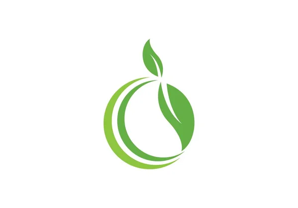 Melone Logo Vektor — Stockvektor