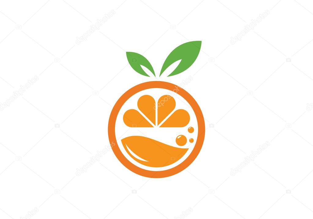 Orange logo design Vector illustration