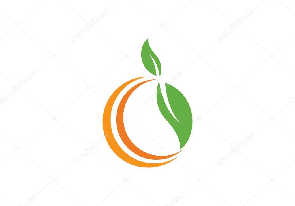 Orange logo design Vector illustration