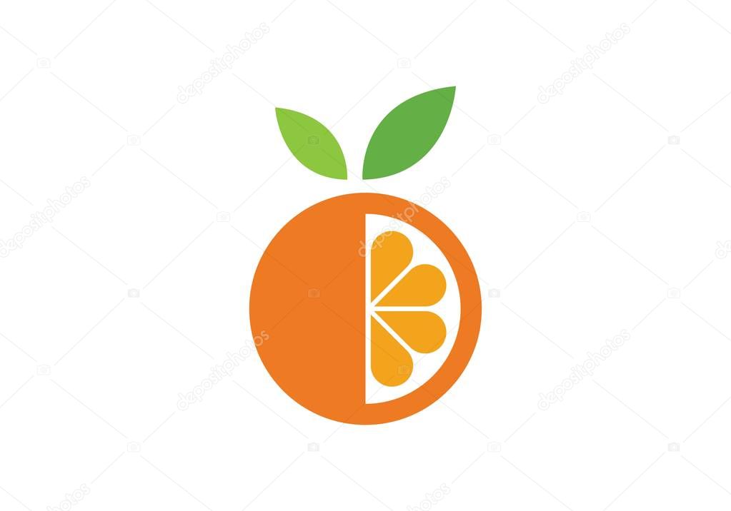 Orange logo design Vector illustration