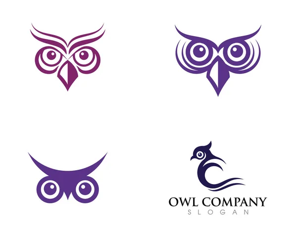 Hibou oiseau illustration logo modèle — Image vectorielle