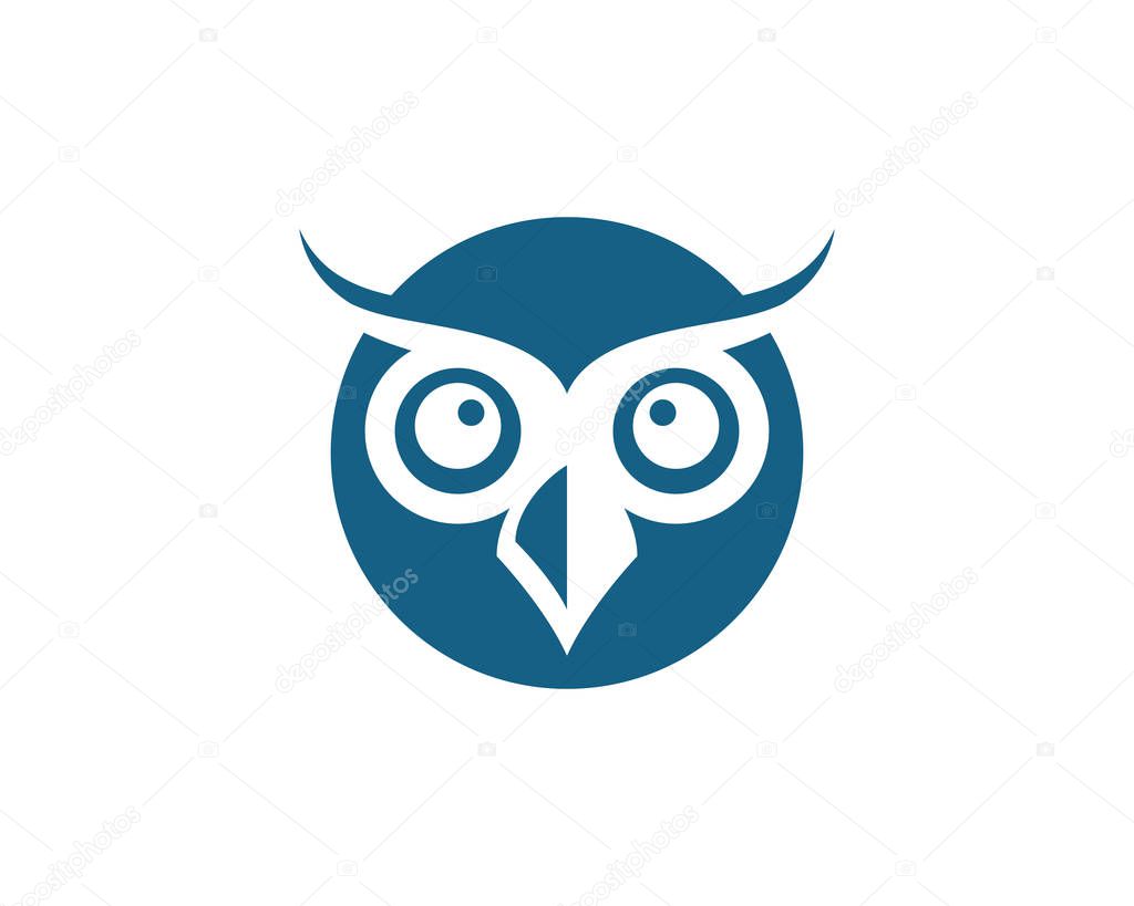 owl bird illustration logo template