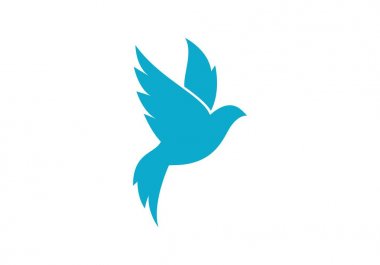 Güvercin logo şablonu