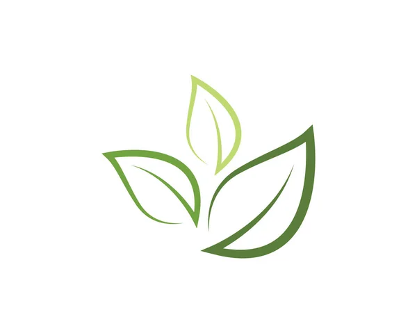 Folha ecologia natureza logotipo modelo — Vetor de Stock