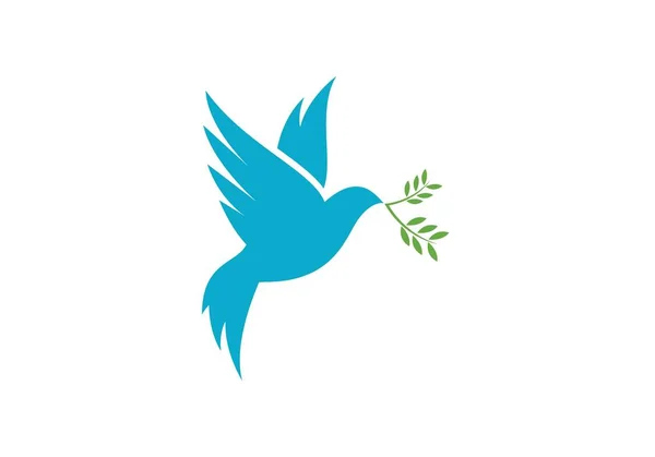 Modèle de logo colombe — Image vectorielle