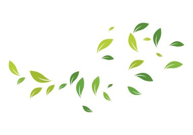 Yeşil yapraklı ekoloji doğa elementi 