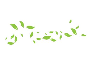 Yeşil yapraklı ekoloji doğa elementi 