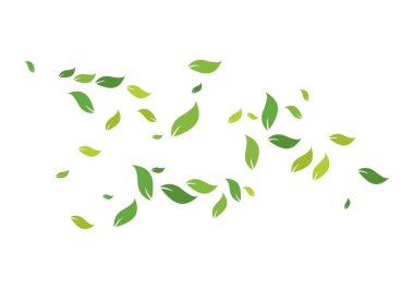 Yeşil yapraklı ekoloji doğa elementi 